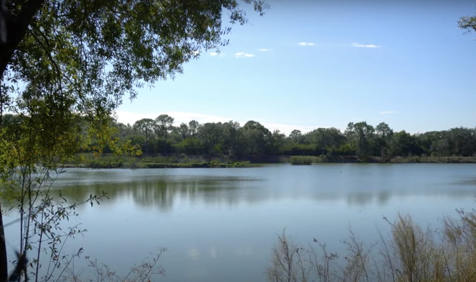 Greenbrook Village Lakewood Ranch The Village Guru