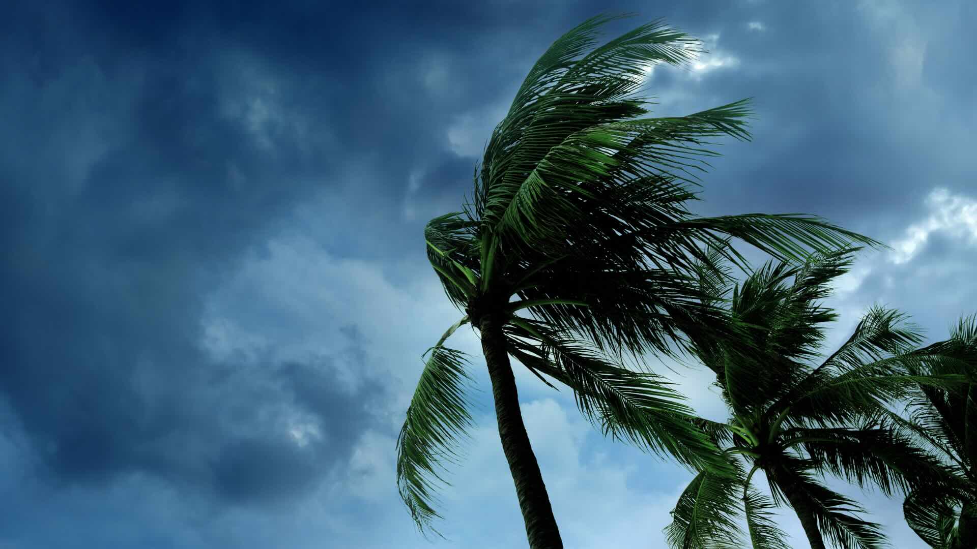 Summer afternoon thunderstorm Lakewood Ranch Florida