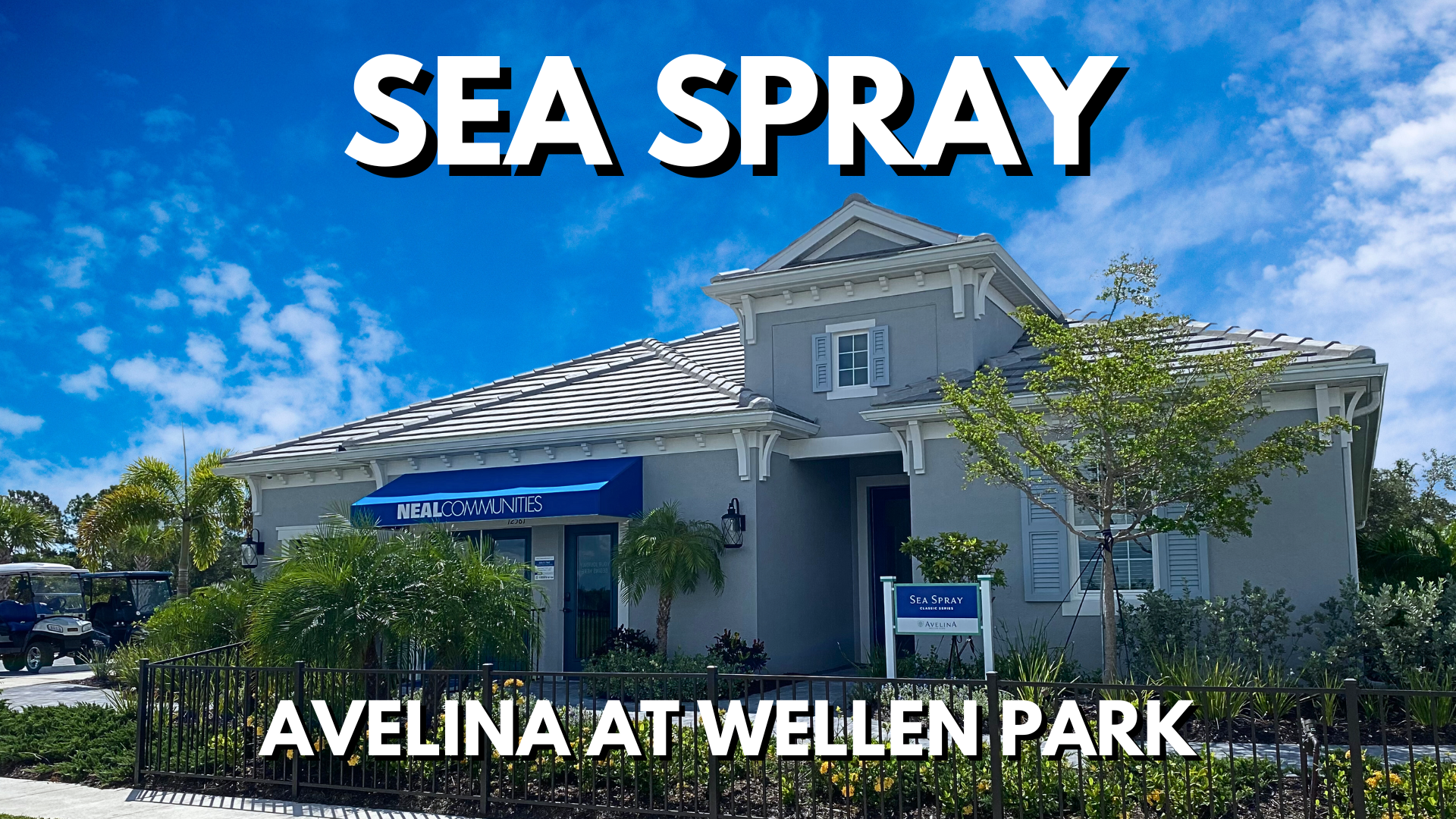 Sea Spray Avelina Wellen Park