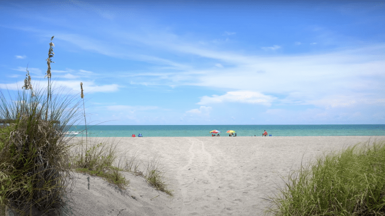 Venice Florida Venice Beach