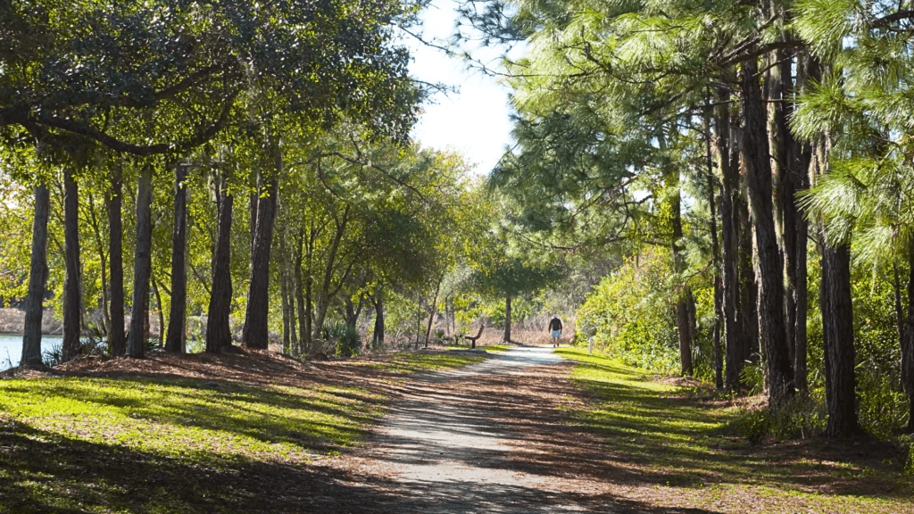 Walking trails