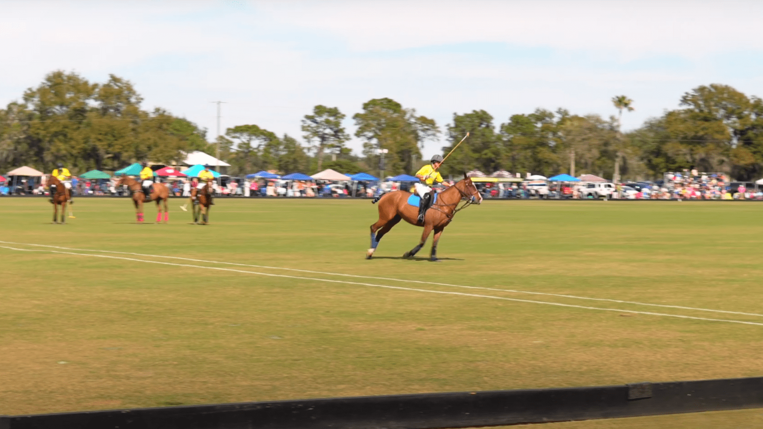 Sarasota Polo Club Lakewood Ranch