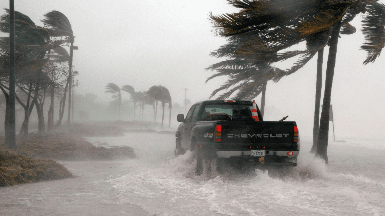 Regret Moving to Florida Hurricaines
