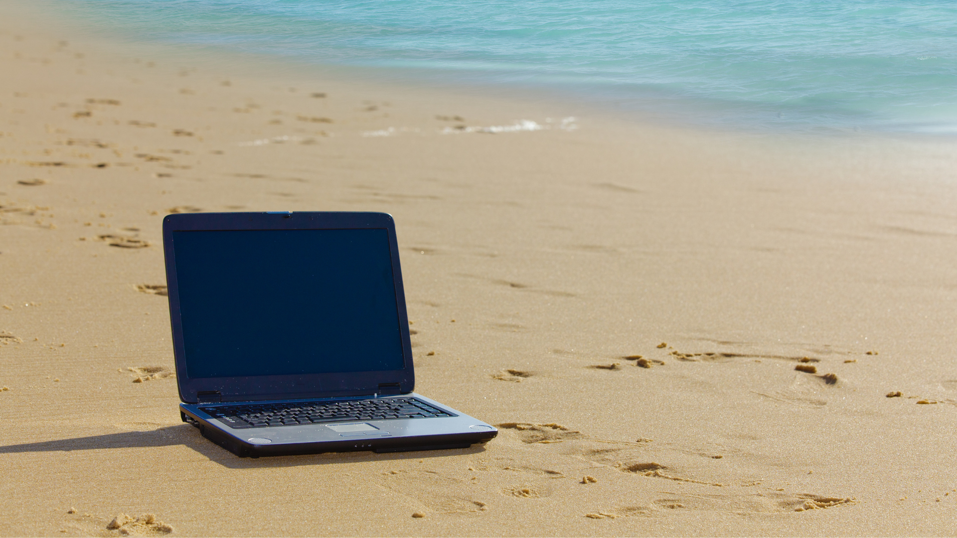 Remote worker on laptop with Florida Gulf Coast view in Sarasota